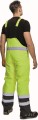 PADSTOW_yellow_4.jpg