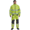 clovellyz2.png