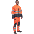 clovellyp3.png