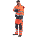 clovellyp7.png