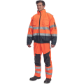 clovellyp6.png