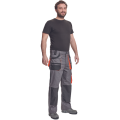 carl3.png