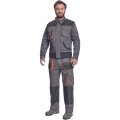 acarl2.png