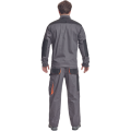 acarl4.png